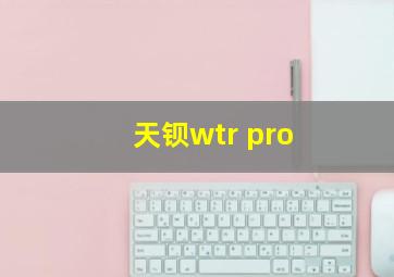 天钡wtr pro